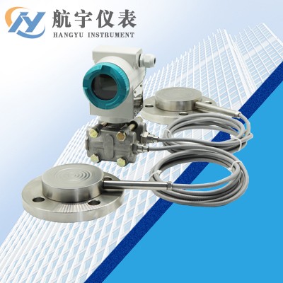 雙法蘭液位變送器